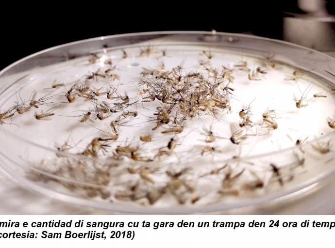 Prome encuesta di sangura pa e islanan ABC den casi 75 aña
